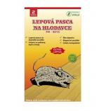 Capcană cu lipici Ekolas pe bază de lemn