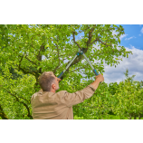Foarfecele de grădină Gardena EasyCut L, cu două lame, ideal pentru lemn proaspăt