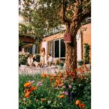 Cuib pentru păsări Cosy bird house, roșu toscan, 18 cm