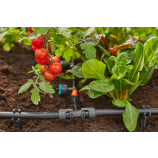Racord în T Gardena 1/2" – 3/16"