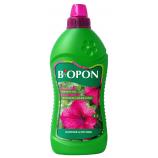 Bopon lichid Surfinia, Petunia