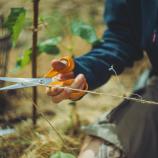 Fiskars Foarfecă universală, 21 cm 1075031