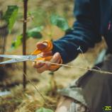 Fiskars Foarfecă universală, 21 cm 1075031