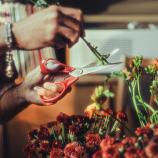 Fiskars Foarfecă universală pentru stângaci, 21 cm 1075035