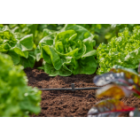 Racord în T Gardena pentru duze de pulverizare / picurătoare terminale de 4,6 mm (3/16")