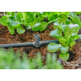 Racord în T Gardena pentru duze de pulverizare / picurătoare terminale de 4,6 mm (3/16")