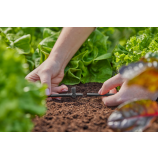 Racord în T Gardena pentru duze de pulverizare / picurătoare terminale de 4,6 mm (3/16")