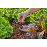 Racord în T Gardena pentru duze de pulverizare / picurătoare terminale de 4,6 mm (3/16")
