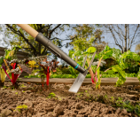 Gardena Sapă de grădină PureLine FSC® 100 %