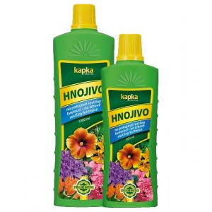 Picătură pe plantele de interior care înfloresc