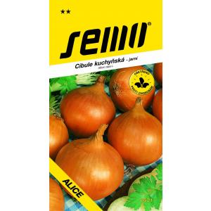 Semințe de ceapă de primăvară Alice Yellow 2g