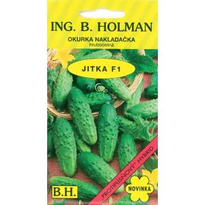 Castravete Holman Jitka F1 hr