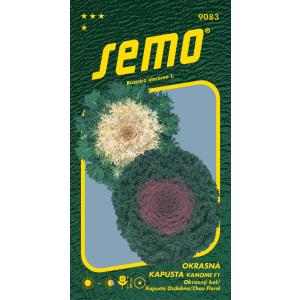 Semințe Kamome F1 mix 20s kale ornamental