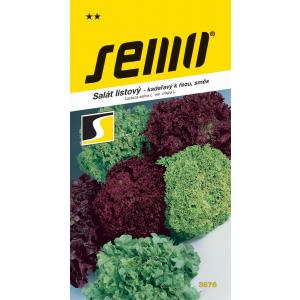 Semințe de salată pentru tăiere Amestec colorat de soiuri 0,8g