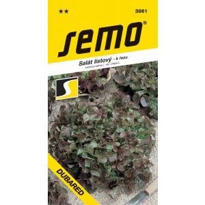 Semințe de salată verde Dubared 0,6g