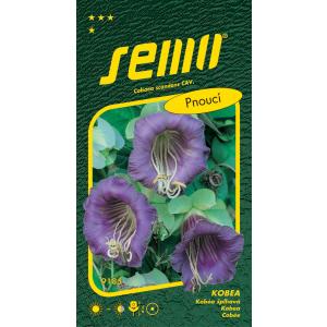 Kobea semințe Blue Bell 0,7 g