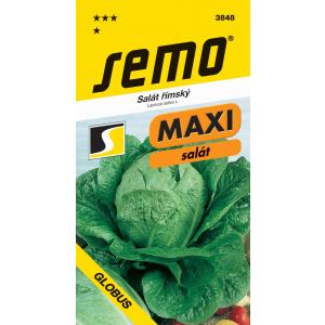 Semințe Salată Romaine Globus Profi 0,7 g