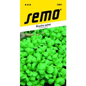Semințe de Purslane Purslane verde 0,4 g