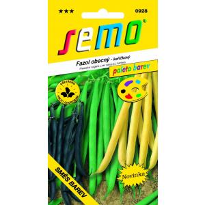 Semințe de fasole Bush culori mixte 10g