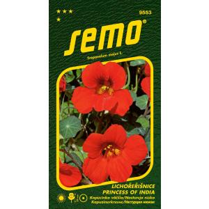 Semo Cappuccino mai mare Princess of India 2g