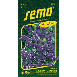 Semințe de lămâie Statica sinuata Albastru închis violet 0,5g