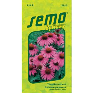 Echinacea violet Echinacea semințe 1g
