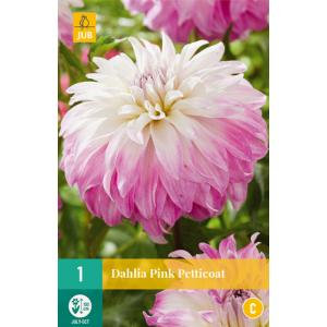 Georgina PINK PETTICOAT "C"