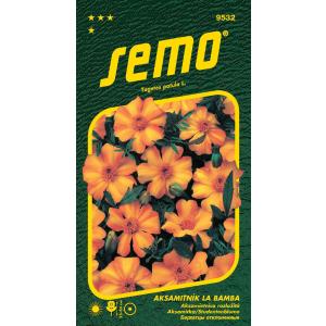 Semo La Bamba 40s