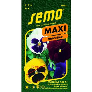 Semo Garden pansy XXL F1 15s