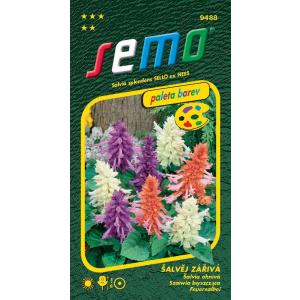 Semințe de salvie amestec radiant 30s