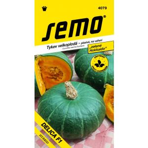 Seed Pumpkin tip Hokkaido Delica F1 5s