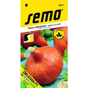 Seed Pumpkin tip Hokkaido Delician F1 5s