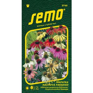 Echinacea purpurea semințe Paradiso 12s