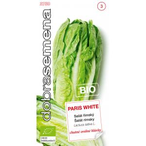 Semințe bune Salată Romaine Paris White Bio 0,4 g