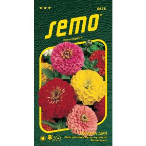 Seed Spurge sticky Geant de California blend 0,7 g