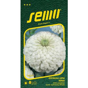 Semințe Spurge Nina alb 0,7 g