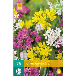 Usturoi Allium Species mix "B