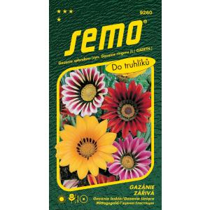 Gazania seed radiant blend 0,15g