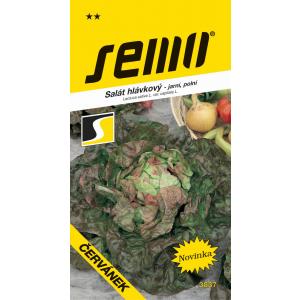 Semințe Salată de primăvară Chervil 0,6g