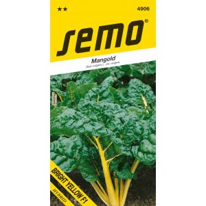 Sămânță Mangold Bright Yellow F1 verde 3g