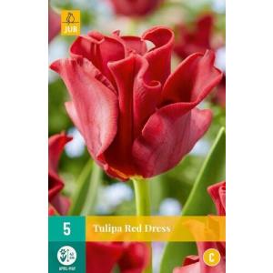 Rochie roșie Tulip "C"