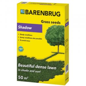 Umbra Barenbrug