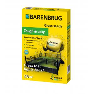 Gazon albastru rezistent Barenbrug