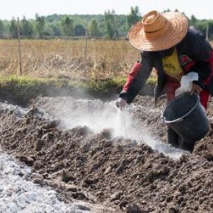 Sfaturi privind modul de calcinare a solului pentru diferite tipuri de culturi