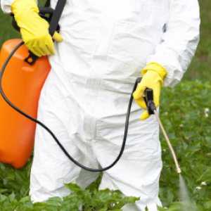 Evaluați aceste 11 insecticide biologice și chimice ca fiind cele mai bune