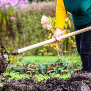 Care sunt cele mai bune îngrășăminte de toamnă pentru plantele care iernează?