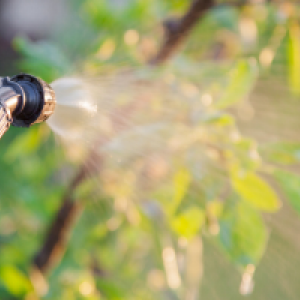 Ce sunt pesticidele și cum sunt ele împărțite?