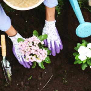 Cele mai populare produse ecologice care sunt potrivite pentru orice grădină