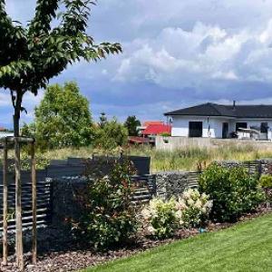 Înființați un strat ornamental? Nu faceți aceste 5 greșeli!