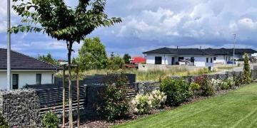 Înființați un strat ornamental? Nu faceți aceste 5 greșeli!